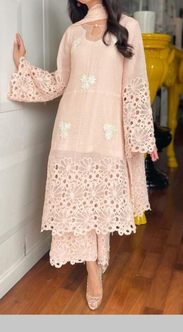 Blush Bloom – Embroidered Net Kurta Set with Cutwork Lace Detailing
